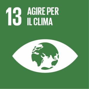 Obiettivo 13Promuovere azioni, a tutti i livelli, per combattere il cambiamento climatico.