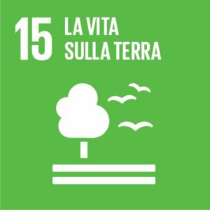 Sustainable_Development_Goals_IT_RGB-15 Obiettivo 15Proteggere, ripristinare e favorire un uso sostenibile dell’ecosistema terrestre.