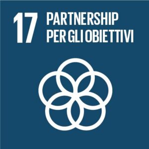 Obiettivo 17Rafforzare i mezzi di attuazione e rinnovare il partenariato mondiale per lo sviluppo sostenibile.