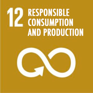 Obiettivo 12Garantire modelli sostenibili di produzione e di consumo.