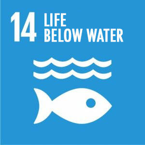 Obiettivo 14Conservare e utilizzare in modo durevole gli oceani, i mari e le risorse marine per uno sviluppo sostenibile.