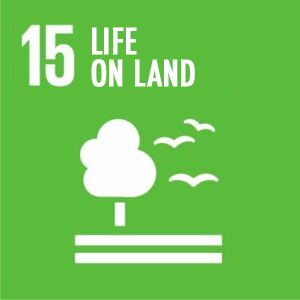Obiettivo 15Proteggere, ripristinare e favorire un uso sostenibile dell’ecosistema terrestre.