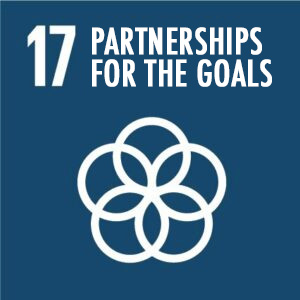 Obiettivo 17Rafforzare i mezzi di attuazione e rinnovare il partenariato mondiale per lo sviluppo sostenibile.